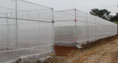 China Red de encargo de la malla del insecto del color para la fuerza de alta resistencia del invernadero proveedor