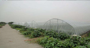 China red blanca de la malla del insecto 45gsm para el invernadero agrícola de las abejas antis proveedor