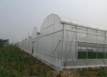China Fácil instale la red agrícola del insecto, red anti del saludo para el invernadero proveedor