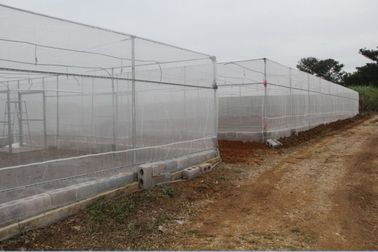 China El monofilamento del polietileno de alta densidad cuenta un cuento las redes antis del insecto para el invernadero proveedor