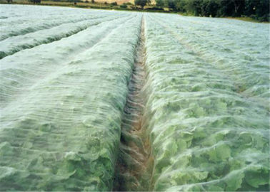 China Pantalla blanca de la mosca del invernadero agrícola que pesca el áfido anti para la verdura proveedor