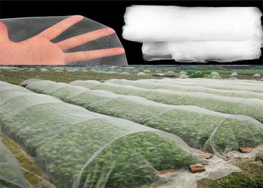 China Malla material del insecto del HDPE que pesca el color blanco para las cosechas vegetales jovenes proveedor