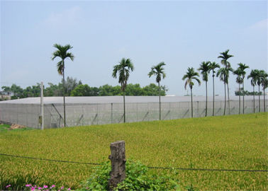 China Red anti agrícola del saludo del pájaro de la red del jardín de la red del saludo para las cosechas de protección proveedor