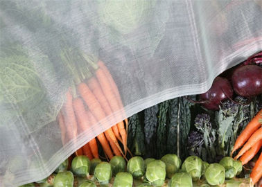 China Malla plástica del insecto del agujero de la malla de 1,35 x 1,35 milímetros para la protección vegetal de la fruta proveedor
