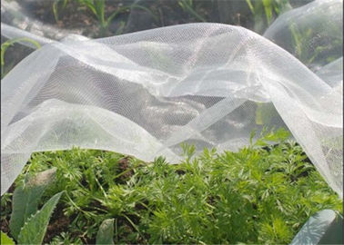 China Malla anti del insecto del invernadero que pesca la malla pura del HDPE 50 malla de la pantalla del insecto de 120 G/M proveedor