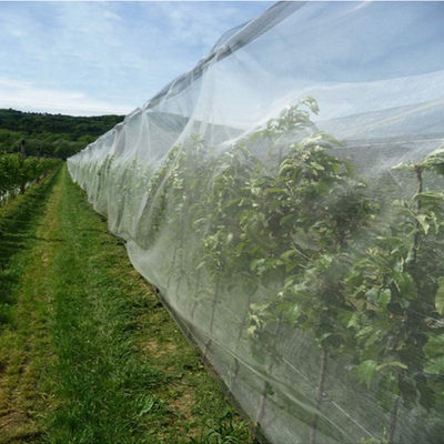 China Saludo anti de la red resistente ULTRAVIOLETA del HDPE para la agricultura y Gardenning proveedor