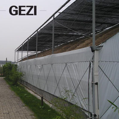 China La nueva casa del color verde de Blcak Begie del material del HDPE sombrea las 70 verduras netas para la fabricación de la red del invernadero proveedor
