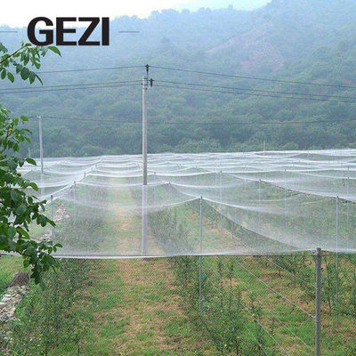 China Invernadero galvanizado de gran tamaño de encargo al por mayor del túnel del invernadero para agrícola proveedor