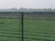 250 metros del HDPE del insecto de red 100% de la malla para el invernadero vegetal agrícola proveedor
