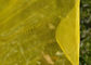 Pantalla anti amarilla del insecto, tamaño modificado para requisitos particulares red agrícola del insecto del invernadero proveedor