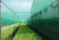 Red anti 100% de la malla del insecto del HDPE para el invernadero con la anchura del 1m-6m proveedor