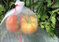 La fruta de Drawsting del ahorrador de la fruta del PE protege el insecto de los bolsos que la flor del bolso de red de la malla protege proveedor