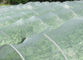Malla anti del insecto del invernadero que pesca la malla pura del HDPE 50 malla de la pantalla del insecto de 120 G/M proveedor