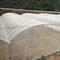 Gezi Mesh Insect Protection Net fino para el jardín, invernadero, plantas, fruta, flores, cosechas, repelente de insectos proveedor