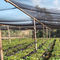 red agrícola de la sombra del verde del sol del nuevo material del HDPE del 100% proveedor