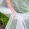 Bolso neto de nylon anti de los bolsos de red de la barrera del insecto del invernadero blanco de China para las uvas proveedor