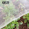 red anti de la prueba del insecto de Mesh Cage Transparent White Color del HDPE 40 para proteger la verdura proveedor