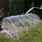 El plástico anti neto del HDPE de la red del insecto de mosquito del invernadero de la red de la protección neta del insecto pesca la red anti del áfido para la agricultura proveedor