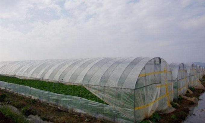 Red de la protección del saludo de la agricultura para el cultivo vegetal del túnel del invernadero