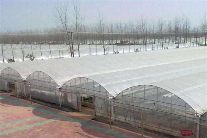 Red de la protección del saludo de la agricultura para el cultivo vegetal del túnel del invernadero