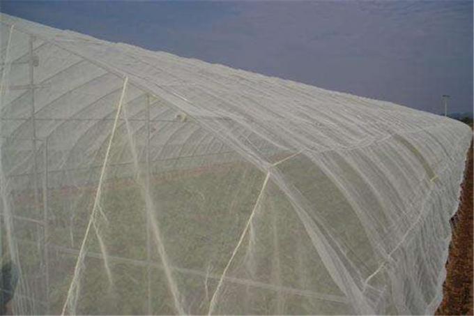 Anti - malla del insecto de los áfidos que pesca los materiales 100% del HDPE de la malla 50*25