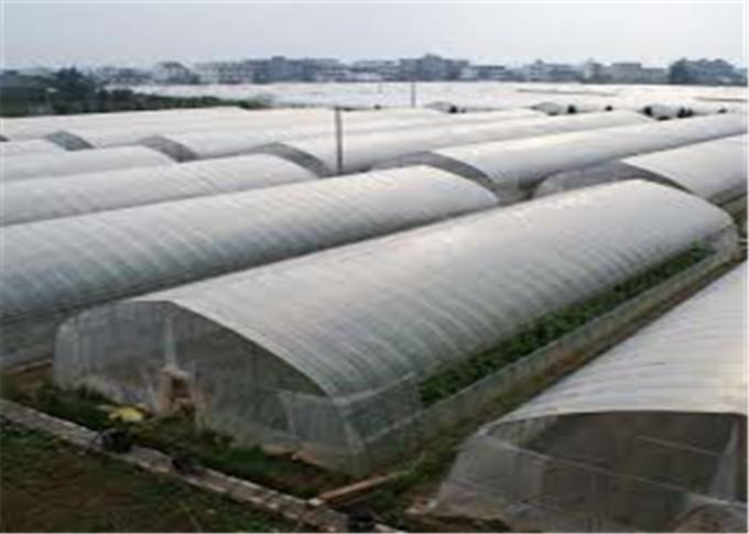 Red 100% de la malla del insecto del HDPE los 4x50m para el cuarto de niños del invernadero/agrícola