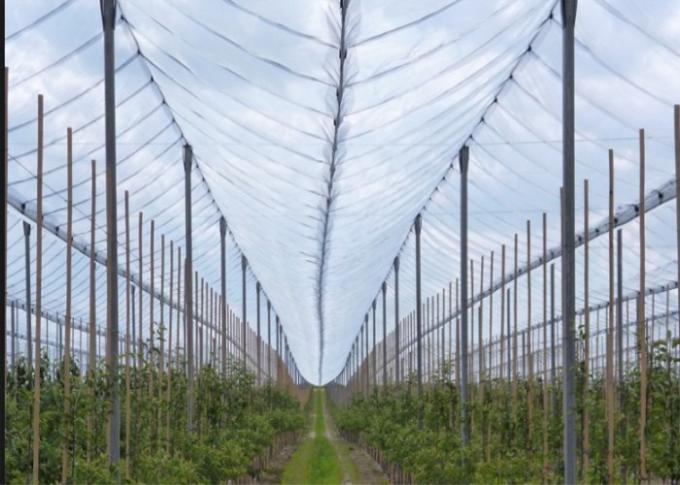 Redes antis agrícolas del saludo del invernadero de la prueba del saludo del OEM para los manzanos