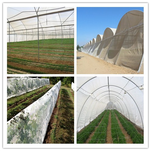 60 materiales plásticos agrícolas del HDPE de la red del jardín de la prueba del insecto de la malla