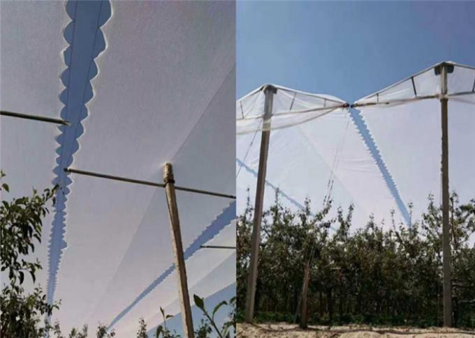 Protección agrícola con la red neta ULTRAVIOLETA de la malla del insecto de la huerta y el saludo anti para los manzanos