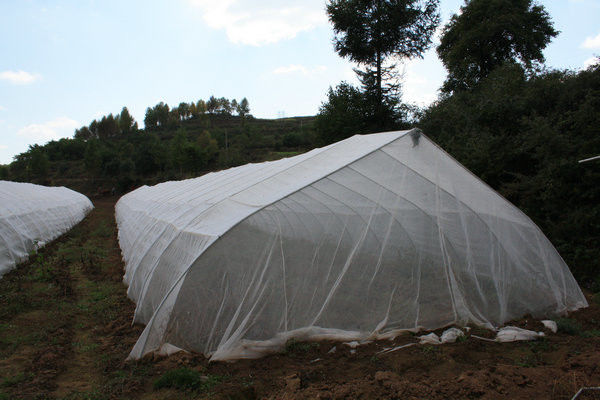 Pantalla anti amarilla del insecto, tamaño modificado para requisitos particulares red agrícola del insecto del invernadero