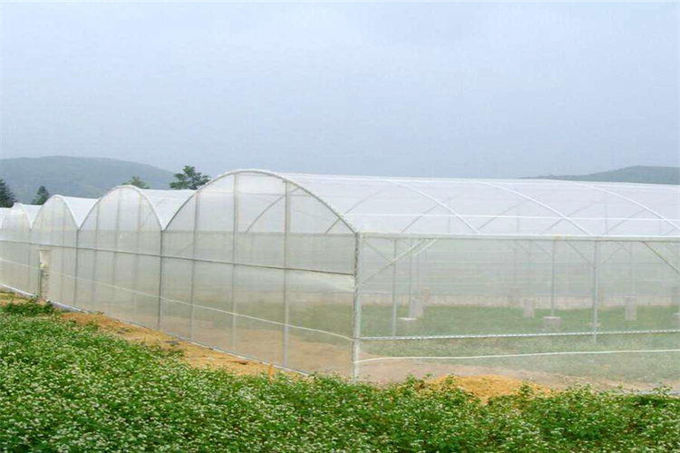 Insecto modificado para requisitos particulares anchura del jardín que pesca los nuevos materiales originales del HDPE del 100%