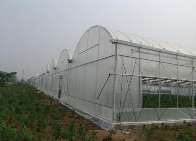Invernaderos y malla del insecto de los túneles que pesca el diámetro de alambre de la armadura llana 0.3m m