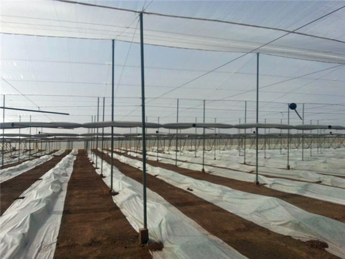 Fabricación vegetal de las redes de la ciencia, de la Cosecha-Protección-red, del parásito de la gestión, del Anti-insecto y del saludo de la horticultura de la agricultura