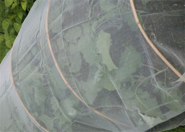 CHINA Red vegetal de la protección de la cosecha agrícola de Netn para la red del guardia de los manzanos proveedor