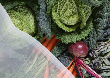 Red vegetal de la protección de la cosecha agrícola de Netn para la red del guardia de los manzanos proveedor